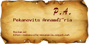 Pekanovits Annamária névjegykártya